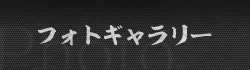 フォトギャラリー
